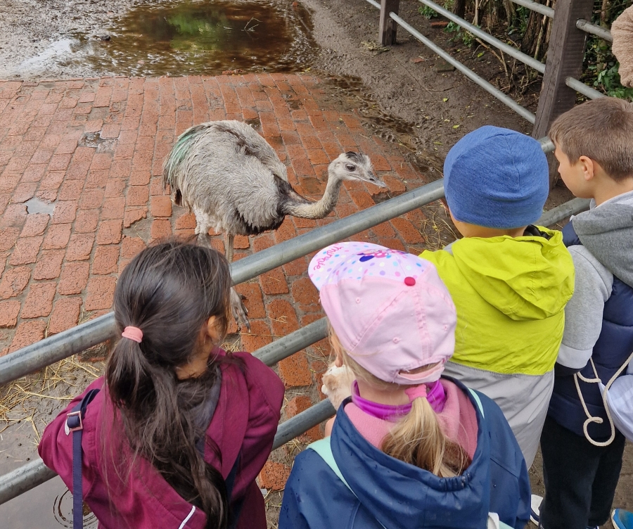 Ausflug Tierpark